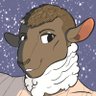 Avi’s Winter Wool's profile picture