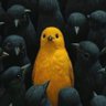 إجـــلال الـفـقـي's profile picture