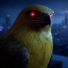 AmaHawk.ron's profile picture
