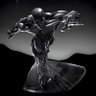 Фото профиля SilverSurfer
