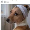 Фото профиля Tati 🧚♀️