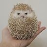 Ludwi's profile picture