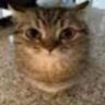 Profilbild von dr house md