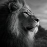 unbaaccinated's profile picture