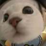พี🐰 的头像