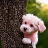 Profilbild von pinkPupOnATree