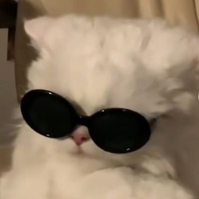 NeAnlatiyonSen's profile picture