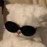 Ne Anlatıyon Sen's profile picture
