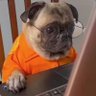 Mr.Okay😊's profile picture
