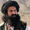 Muhammad Fareed ( محمد فريد )'s profile picture
