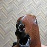Фото профиля はま