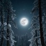 Profilbild von Luna.m