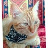 Фото профиля Erkan Can