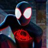 Dr. Webhead profil fotoğrafı