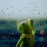 Datexzzy's profile picture