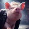 Tom's profile picture