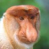 John profil fotoğrafı