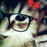 seph💚's profile picture