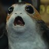 Conrado's profile picture