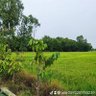 Profilbild von หนุ่มบุรีรัมย์