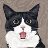 Cat@Debot's profile picture