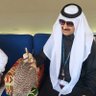 hussein a saud 的头像