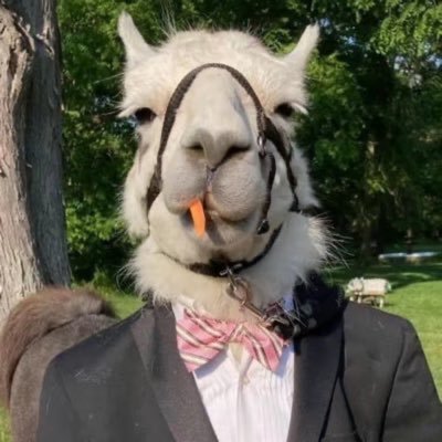 mike's profile picture