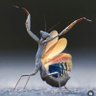 TuffCity's profile picture