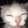 Profilbild von Opossabay