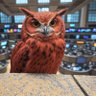 RedOwlTrades🦉 profil fotoğrafı