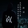涵羽 的头像