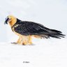 Фото профиля Moe