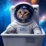 IBCDecentral profil fotoğrafı