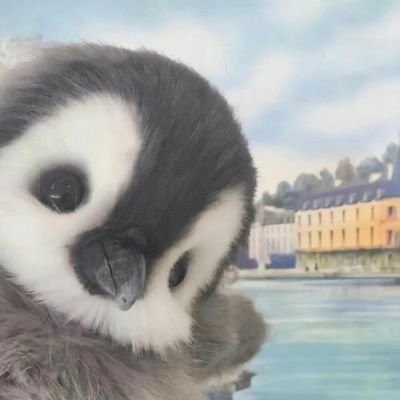 rich 🥞's profile picture