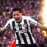 Maninho 的头像