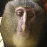 Weiner's profile picture