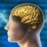 Profilbild von Human brain and mind