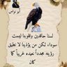 Ali Sufyan Wajih Al -Din profil fotoğrafı