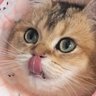 Фото профиля Mochi
