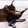 ammar100082's profile picture