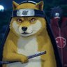 DOGEJUTSU profil fotoğrafı