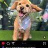 thomas f.'s profile picture