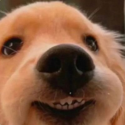 k_arentwts's profile picture