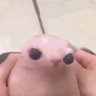 Lil Stinky Greg ‼️'s profile picture