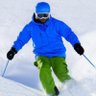 GorillaSkier's profile picture