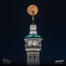 تم تم's profile picture