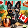 Фото профиля UhOhCanada