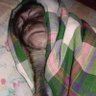 Hilda Amaliya's profile picture