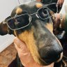 Cocoabuena's profile picture