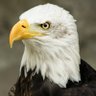 Miran Adar profil fotoğrafı